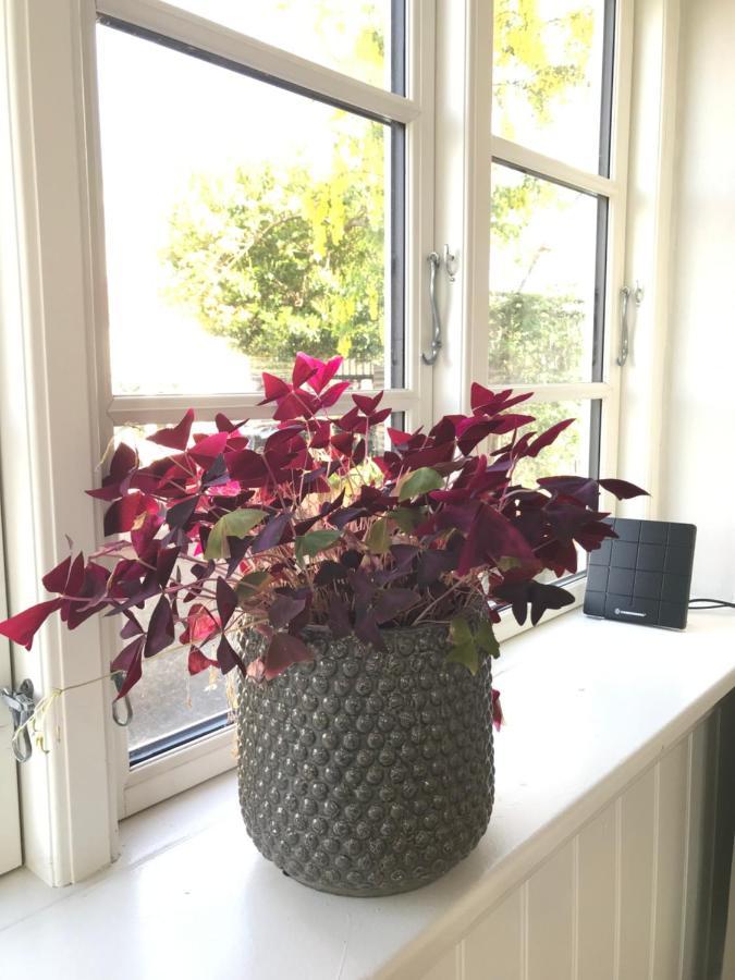 BnB Thuroe Svendborg Buitenkant foto