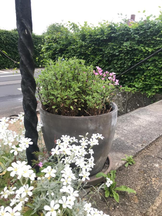 BnB Thuroe Svendborg Buitenkant foto