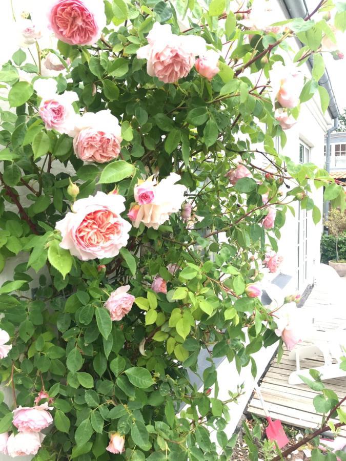 BnB Thuroe Svendborg Buitenkant foto
