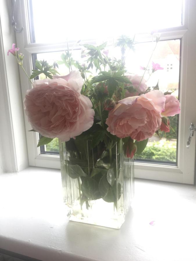 BnB Thuroe Svendborg Buitenkant foto